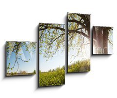 Obraz 4D tydln - 100 x 60 cm F_IS75811470 - Oak tree