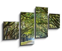Obraz 4D tydln - 100 x 60 cm F_IS76209403 - Country Road Lined with Oaks in Savannah, Georgia
