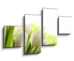 Obraz 4D tydln - 100 x 60 cm F_IS76412500 - White Tulips - Bl tulipny