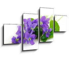 Obraz 4D tydln - 100 x 60 cm F_IS764797 - violets on white background