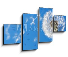 Obraz 4D tydln - 100 x 60 cm F_IS7711607 - Dandelion Flying Seeds