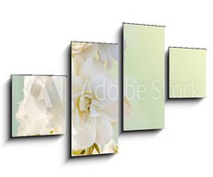 Obraz   Beautiful vertical frame with a bouquet of white roses, 100 x 60 cm
