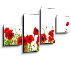 Obraz 4D tydln - 100 x 60 cm F_IS81019876 - red poppy
