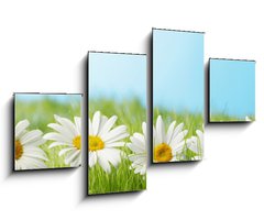 Obraz 4D tydln - 100 x 60 cm F_IS81022704 - Chamomiles  in grass