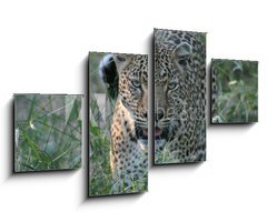 Obraz 4D tydln - 100 x 60 cm F_IS8415986 - leopard