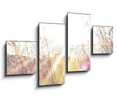 Obraz 4D tydln - 100 x 60 cm F_IS84657670 - Sun rays on a meadow