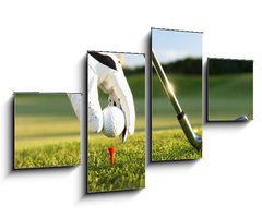 Obraz 4D tydln - 100 x 60 cm F_IS8489083 - golf tee