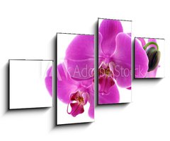 Obraz 4D tydln - 100 x 60 cm F_IS8546686 - Orchidea fiorita