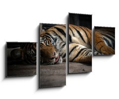 Obraz   bengal tiger sleeping, 100 x 60 cm