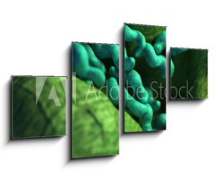Obraz 4D tydln - 100 x 60 cm F_IS87073278 - medical bacteria illustration of the campylobacter