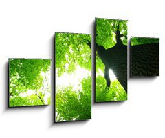 Obraz 4D tydln - 100 x 60 cm F_IS9016603 - green leaves - zelen listy