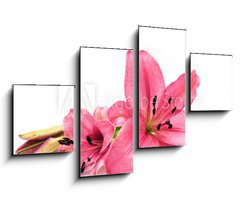 Obraz 4D tydln - 100 x 60 cm F_IS9265067 - Pink lily