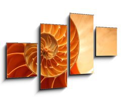 Obraz 4D tydln - 100 x 60 cm F_IS9319403 - Split nautilus seashell showing inner float chambers - Rozdlit nautilus seashell ukazujc vnitn plovouc komory