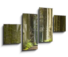 Obraz   nature pathway, 100 x 60 cm
