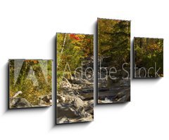 Obraz   The Baker River flows through fall foliage, Warren, New Hampshir, 100 x 60 cm