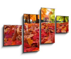 Obraz 4D tydln - 100 x 60 cm F_IS95226612 - autumn leaves