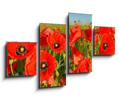 Obraz 4D tydln - 100 x 60 cm F_IS95383540 - Poppies