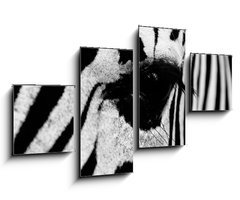 Obraz   zebra in field, 100 x 60 cm