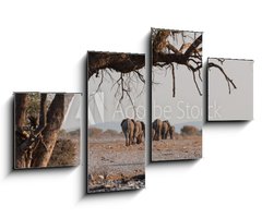 Obraz   Elefantenherde verl sst das Wasserloch Etosha Namibia, 100 x 60 cm