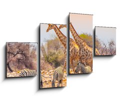 Obraz   Giraffes and zebras at waterhole, 100 x 60 cm
