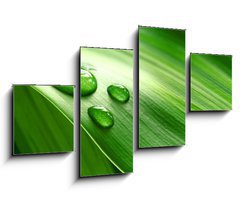 Obraz 4D tydln - 100 x 60 cm F_IS9939656 - Close-up of green plant leaf - Zavt