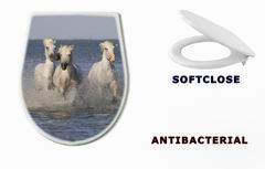WC sedtko 14879653 - Chevaux de Camargue