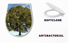 WC sedtko 17987334 - Large Oak Tree with Blue Sky