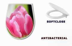 WC sedtko 1925591 - tulip