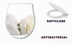 WC sedtko 23183533 - White rose with heart