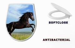 WC sedtko 26473191 - beautiful black horse playing on the field