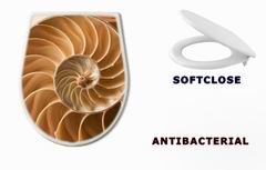 WC sedtko 27136631 - close up nautilus shell pattern