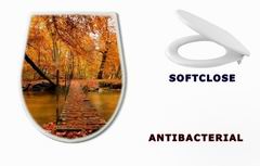 WC sedtko 27188223 - Autumn bridge