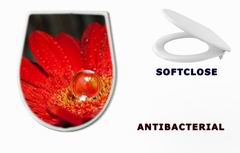 WC sedtko 28762930 - rote Gerbera mit Wassertropfen