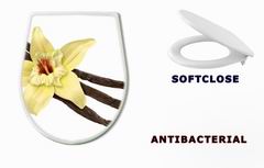 WC sedtko 30979053 - Vanilla Bean and Flower (clipping path)