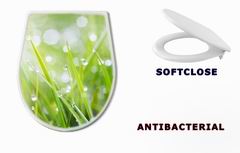 WC sedtko 31545504 - sparkling grass