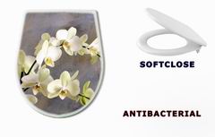 WC sedtko 32089730 - Orchidea bianca