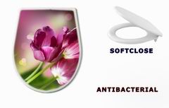 WC sedtko 32246148 - Flowers. Anniversary Card Design
