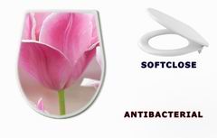 WC sedtko 32429318 - Pink tulips close up