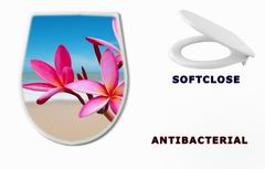 WC sedtko 33453056 - Plumeria flowers on the beach