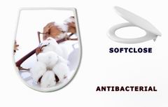 WC sedtko 34523742 - cotton flower over branch