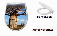 WC sedtko 35346774 - big baobab tree of Madagascar