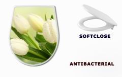WC sedtko 35516488 - tulip