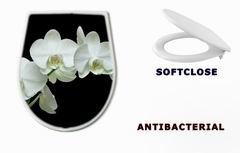 WC sedtko 36934594 - White orchid on black background
