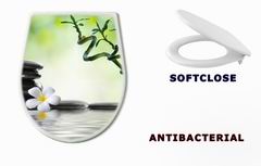 WC sedtko 37043544 - Bamboo and frangipani for spa salon