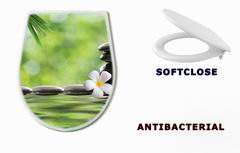 WC sedtko 37389475 - spa stones with frangipani