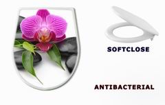 WC sedtko 40893585 - orchid