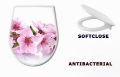 WC sedtko 41227262 - beautiful pink peach blossom isolated on white