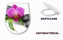 WC sedtko 42149939 - orchid