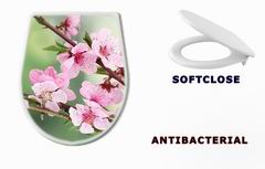 WC sedtko 42824087 - beautiful pink peach blossom on green background