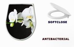 WC sedtko 44550802 - Close-up of white orchids (phalaenopsis) against dark background